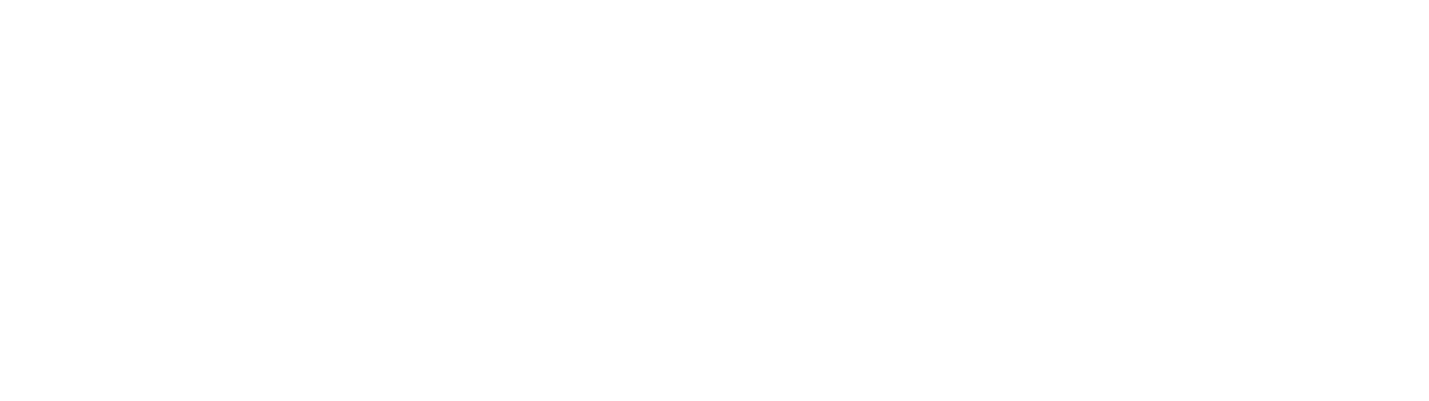 DisplayMax - nearly 40 years of experience as one of Lozier's preferred providers of retail fixtures