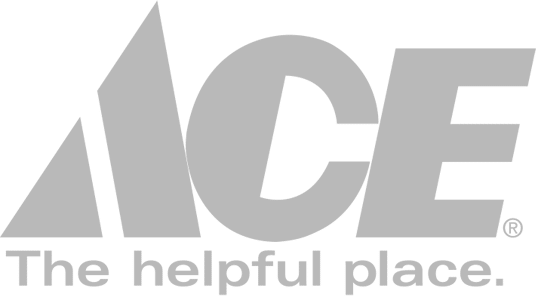 ACE logo on transparent background